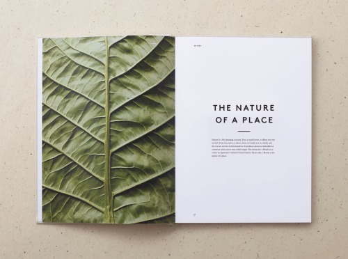 Fullwidth Slideshow